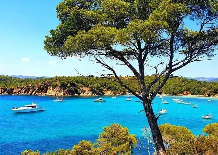 Appartement Pieds Dans L\'Eau Vue Mer Bormes Les Mimosas