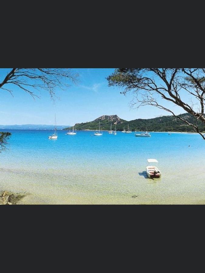 Appartement Pieds Dans L'eau Vue Les Mimosas *
