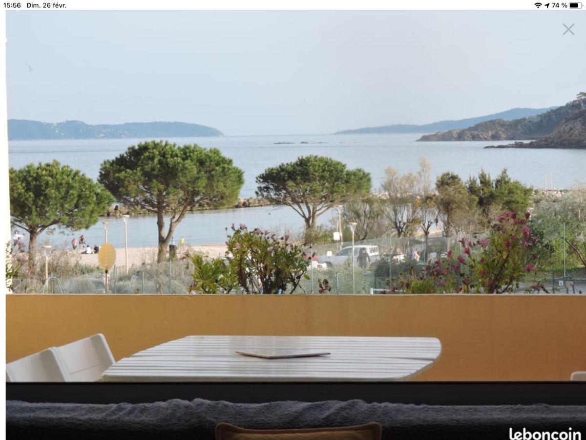 Pieds Dans L'eau Vue Les Mimosas Appartement