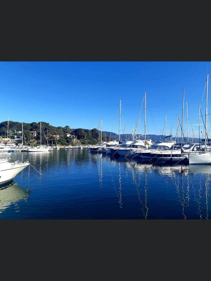 Appartement Pieds Dans L'eau Vue Les Mimosas *