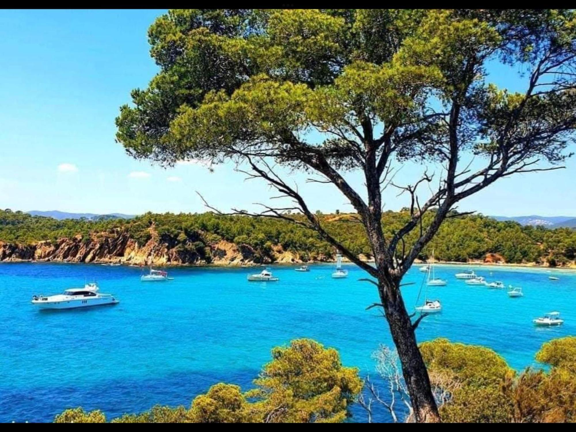 Pieds Dans L'eau Vue Les Mimosas * Bormes-les-Mimosas