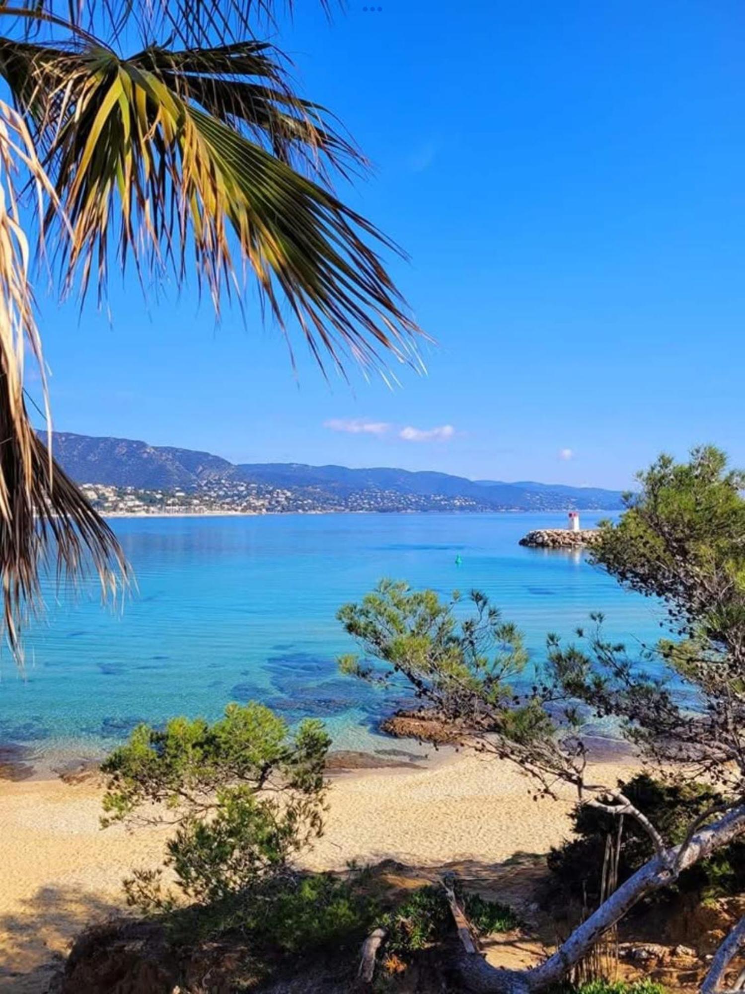 Pieds Dans L'eau Vue Les Mimosas Bormes-les-Mimosas