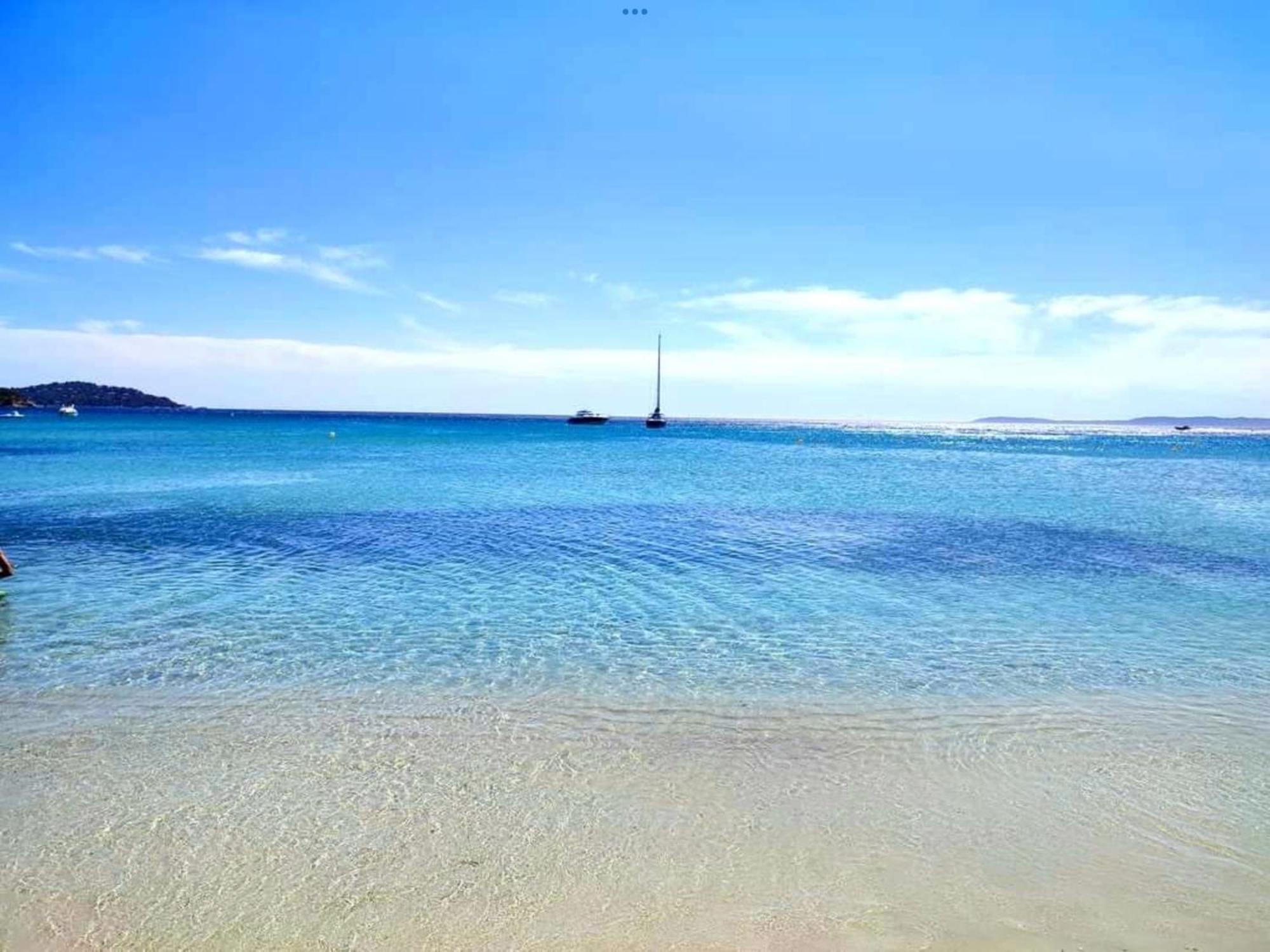 Pieds Dans L'eau Vue Les Mimosas