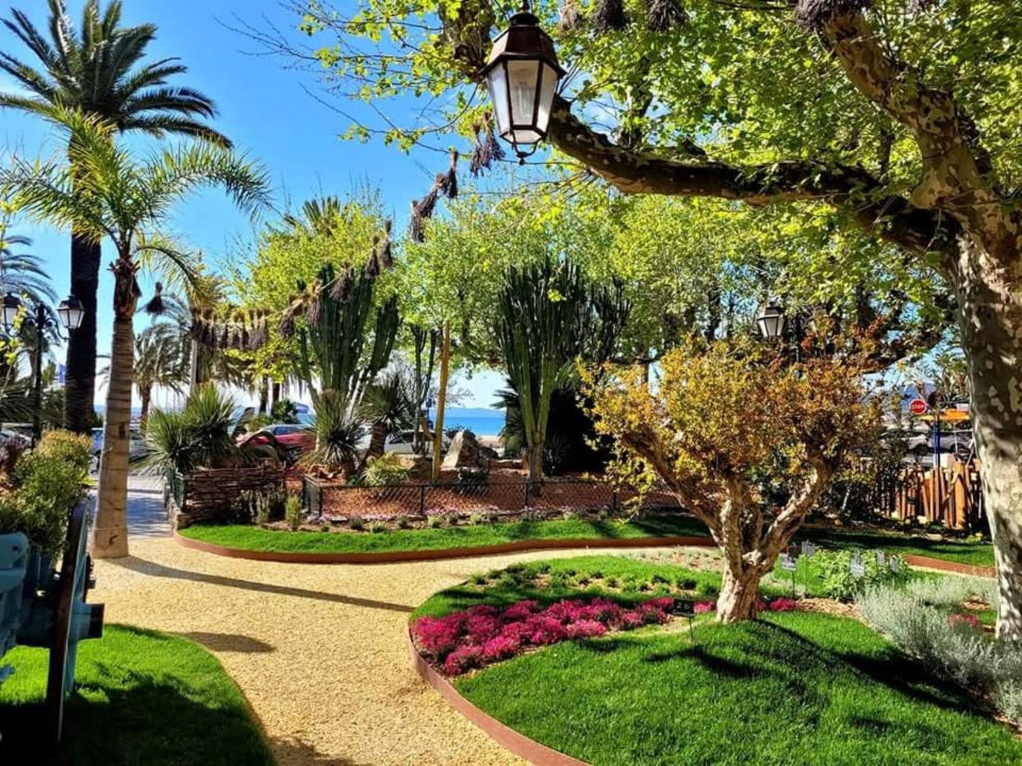 Appartement Pieds Dans L'eau Vue Les Mimosas Bormes-les-Mimosas